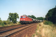 04.08.2003 zwischen Baalberge und Biendorf