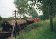 30.06.2003 zwischen Baalberge und Biendorf