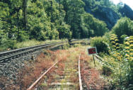 01.08.2005 die Strecke zum alten Rübeländer Bahnhof