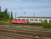 eine 143 mit kurzem Güterzug nach Magdeburg